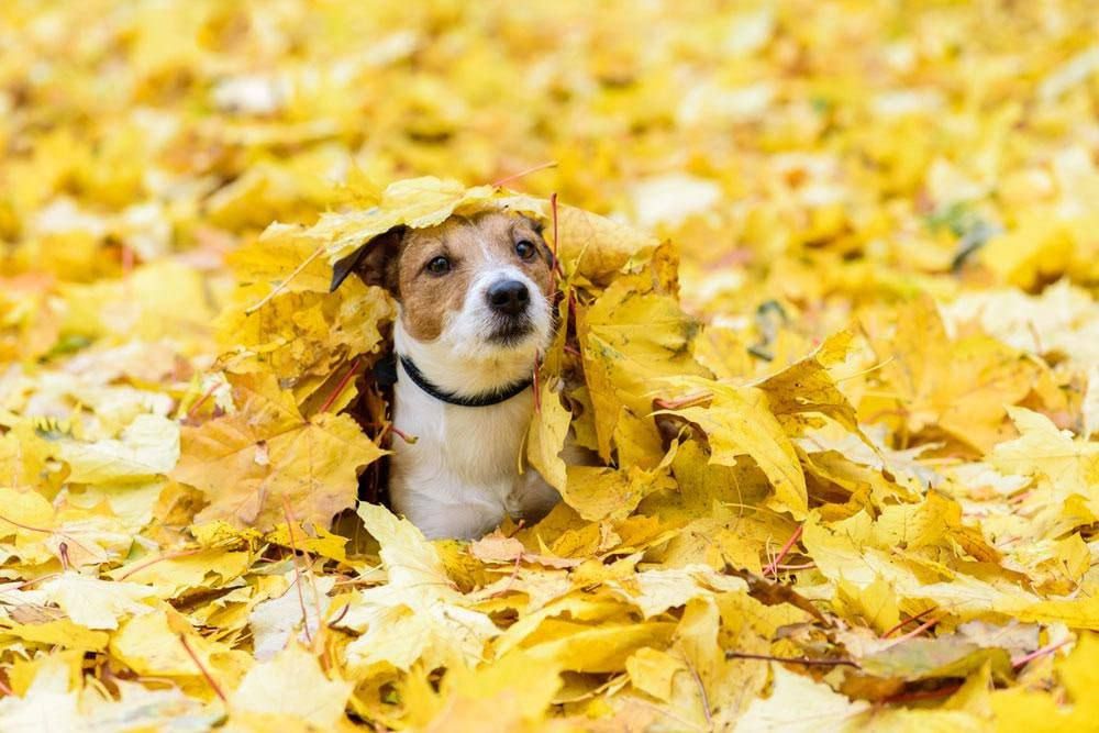 ����� ���� �����������. � ��� ���� ��������� ����������� ���� ������ �� ����. ������, � ����� ���� ��� �� ��������. ���� ���������, ����� �� ����� ����� ������������ ����� ������� ���� �����������, ���������� � ��������������