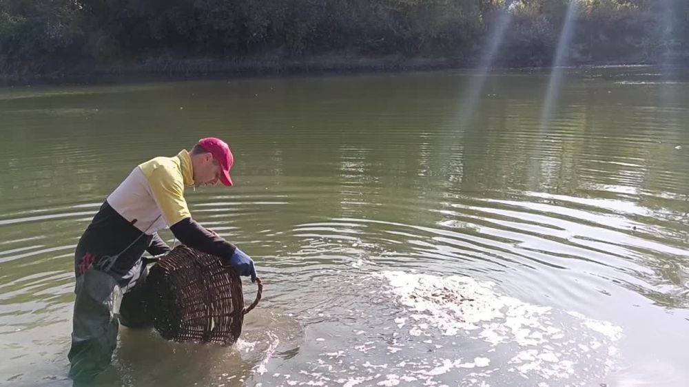 � ������� ���������� �������� 5,5 ���� ���������� ����