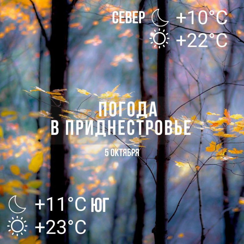 ������� � �� +23��.