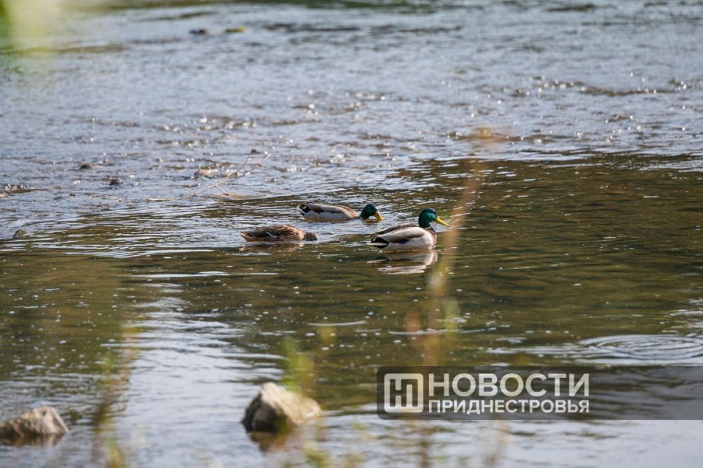 ���� �������� ��� ����� ����� �� ��� ����� ��������������� � �������������