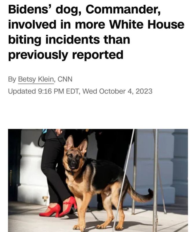 ������ ������� �������� �� ������ ����, ������ ��� ��� ������� ����� ��������