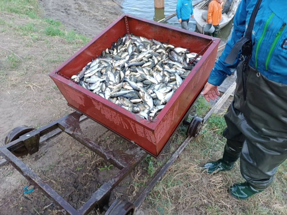 � 29 �������� ������������ ���������� � ���������� ��������������� �� ������ ��������� ����������� �� ���������� � ������������� ����������