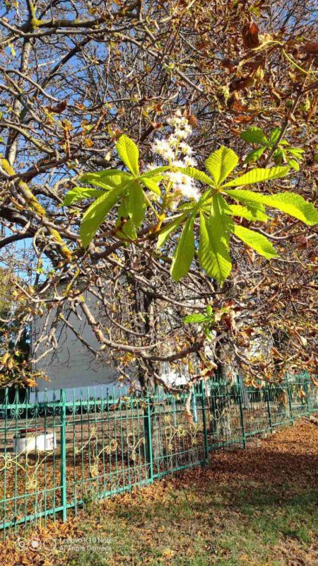 � ���������� � ����� ��� ������� ����� ����� N 4 ������ ������