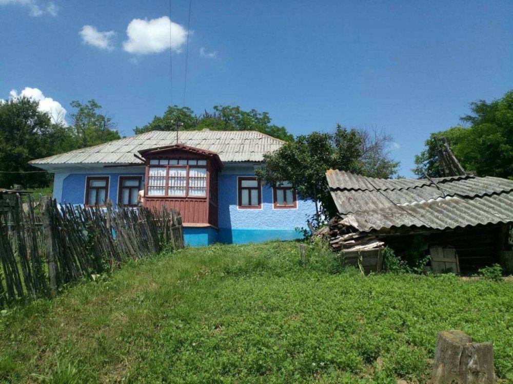 ���������� �������� � ���� ������ ���������� ������ �� ����� ����