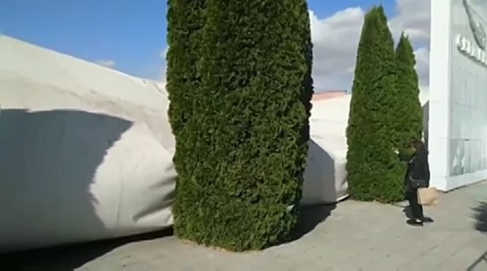 � ��������� �������� ����� ����� ��������