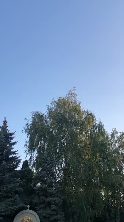 ������������-������������ ������� � 25 ���.