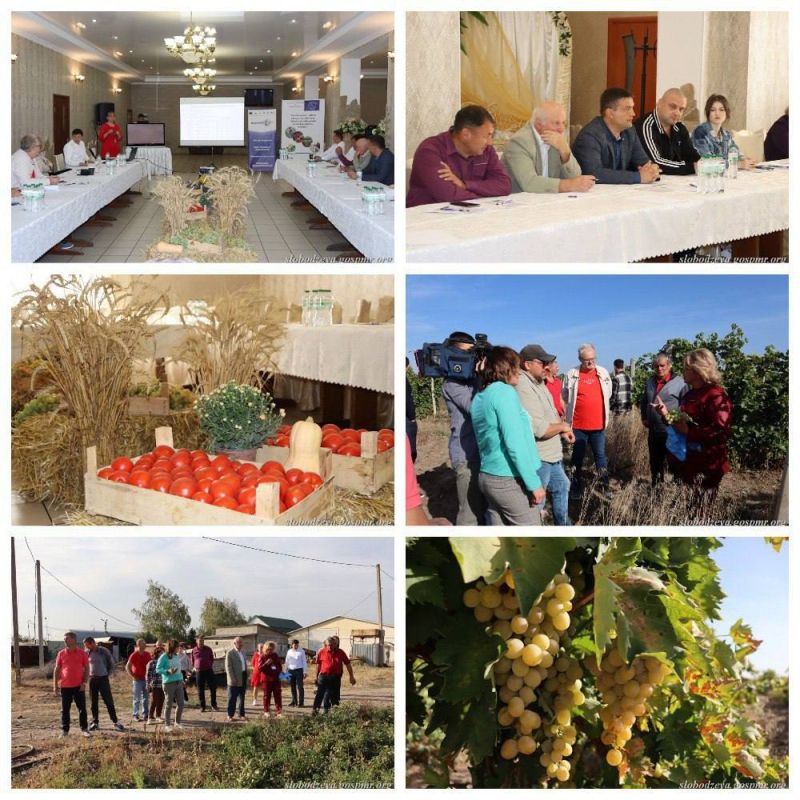 ������� �� �������� ���������� � ������������ ������������� ��������� ������ � ��������