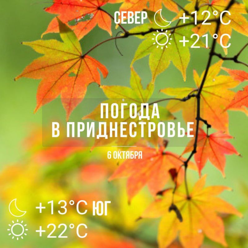 ������ ������� ����. �� 23��.