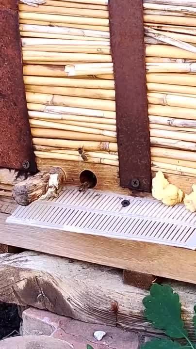 ��������� ������������� ���� � �������