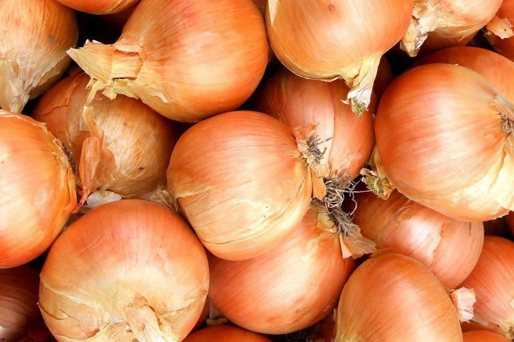 �� ���� ������� ���������� ������������ ������ ������