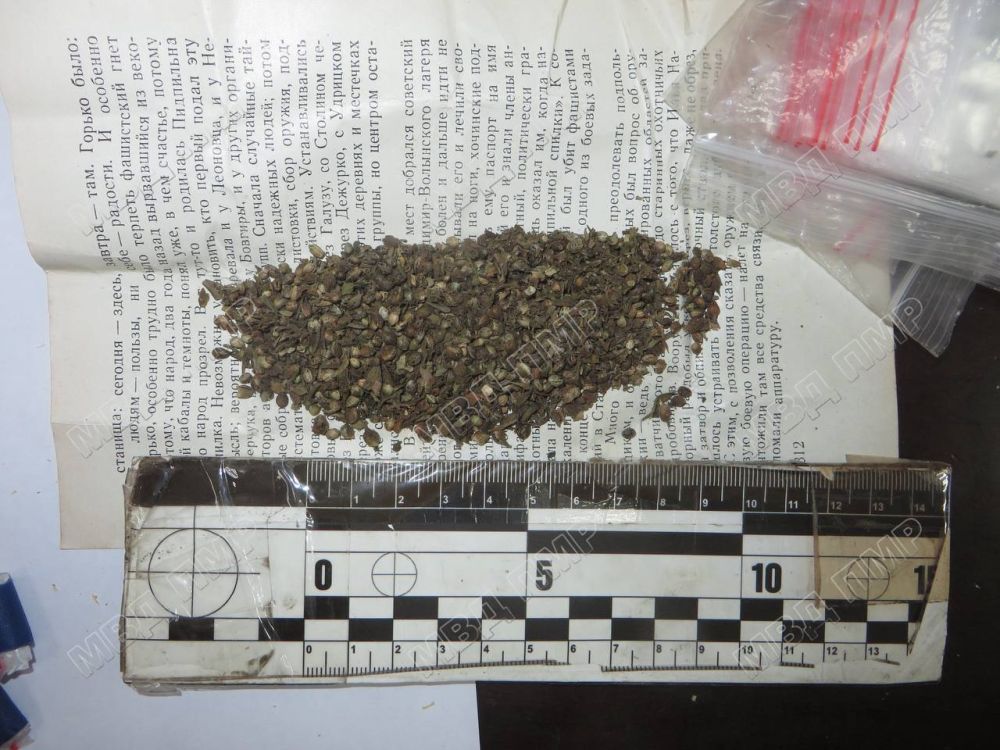 18-������ �����������. � �������� ��������� ������������. 18-������ �������������� � ��� ������ ���������� � ����������...