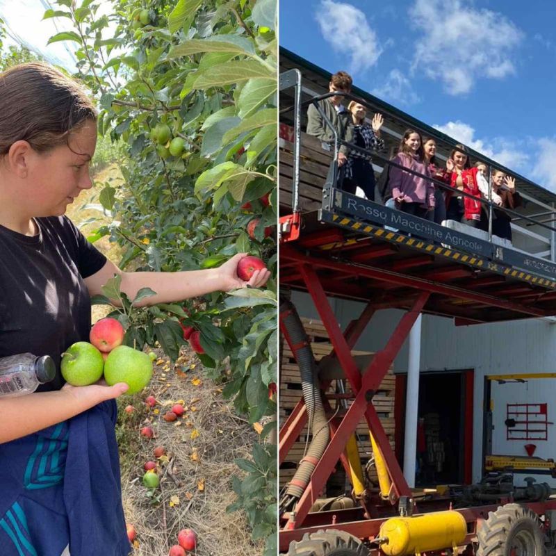 ��������� �� ������ �������� �� ��������� ��� ������������ �� ���������