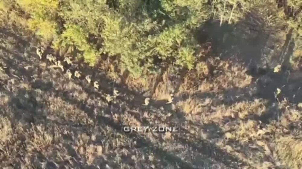 � �������� ������� ����� 17 ���������� �������������� ������� � ���� ���������� �������