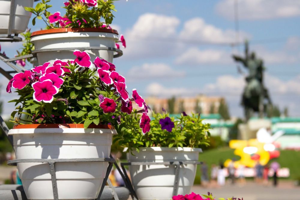 ������ ���� ������� � ������ ������ ����� ������� �����