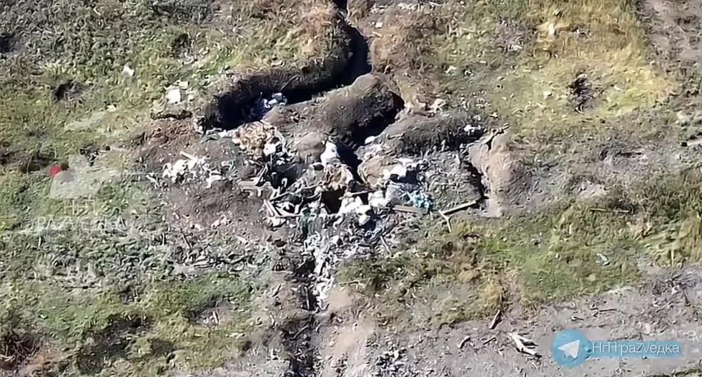 ���������������� ������ ������� ������� ������ ������� ������������ ������ ����� ���� ������ � ���������� ����