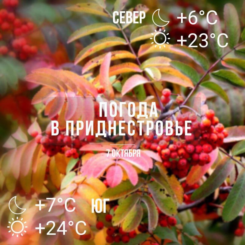 ��������� �������: ����� � 7��, ���� � �� 24��