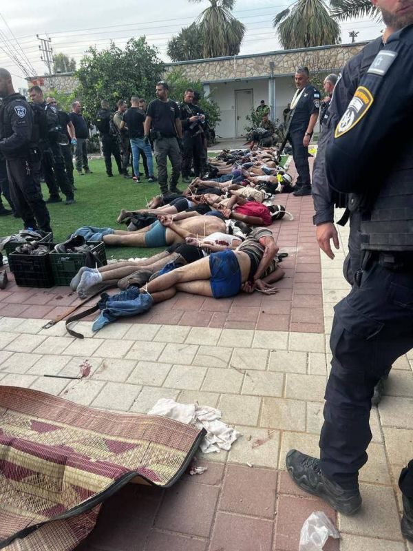 ����������� ������� �������� � ������ � ���� 30 �������� �����