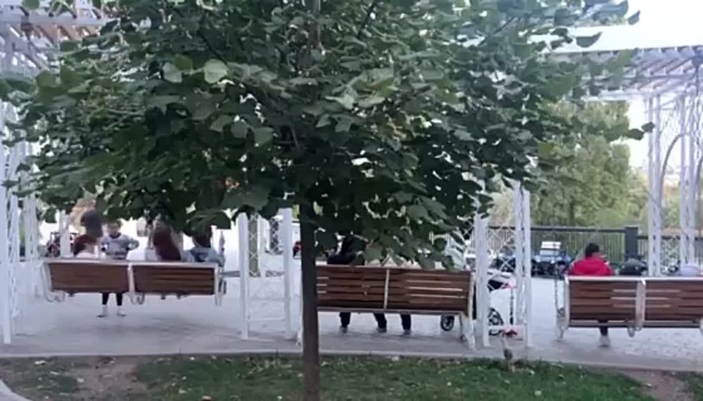 �������� ������ �� ����������