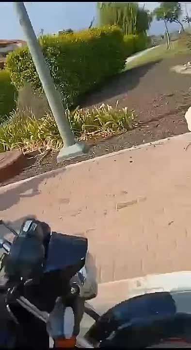 ����������� ����������� �������� �� ���� � ������ ����.