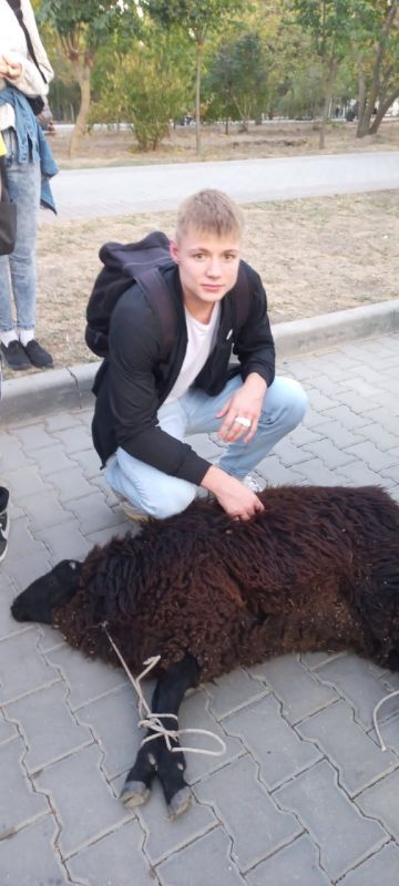 ������, � ��� ������� ���� � ���������� ������������ ������ ������, �������� �������� ���������, �� ���� ����������� �������