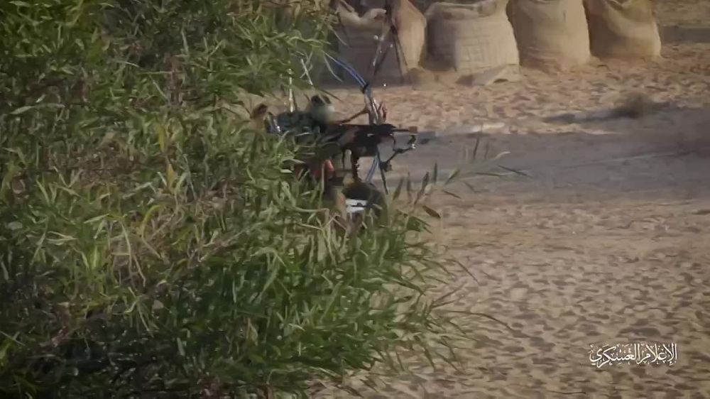 ����� ����������� �������� ������ ����� �� ������� (������ �����)