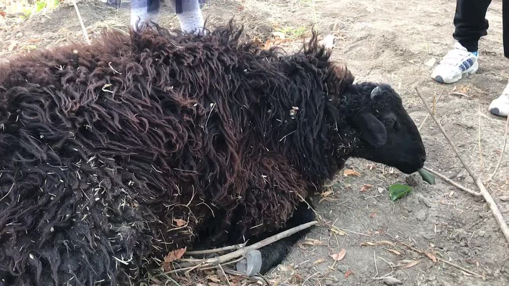 � ��� ������� ���� ���������� � ������ ������.