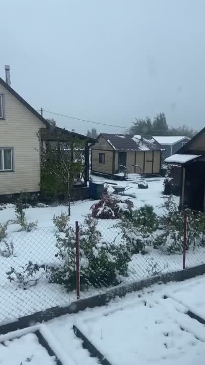 ������ ����������, ������ ������� ���� ���-�� ��� �������