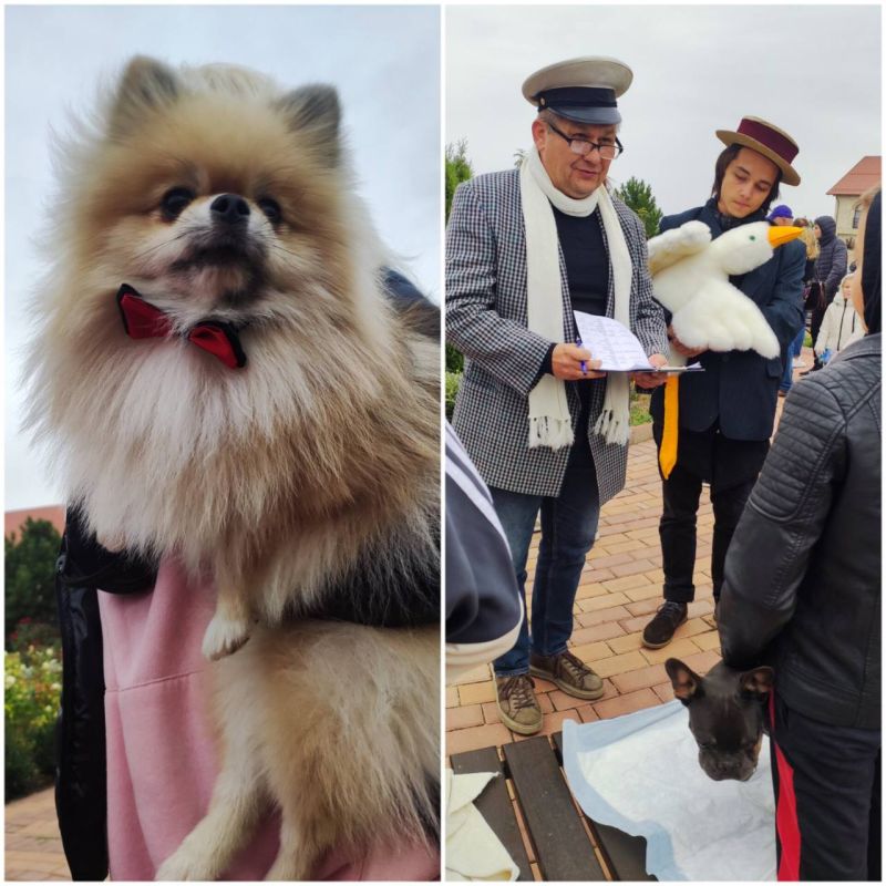 �� ����� �� �������� ����� ������ � ������ ���������� ����������� ��������� ������� - �������� �������� �������� �� ���� ������ ������������