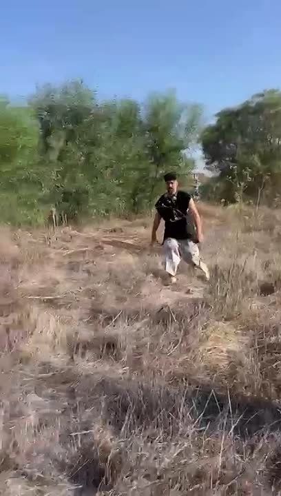 �����������, ������� ����� ������� �������� ������� ������