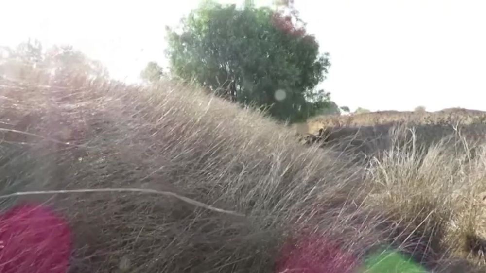 ��������� ����� �� ����� � ������ �����������, ���������� ������, �������� ����� ������ �������, �������� ������� �� ���-7 � ������ ��������� �������