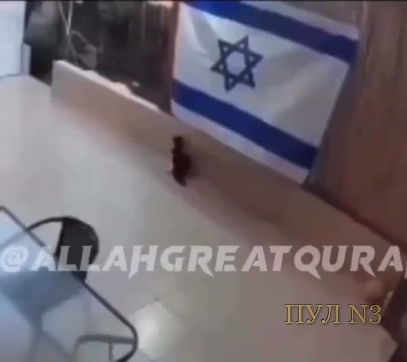 �������������� ����������� ��� ����� � ��� ��������.