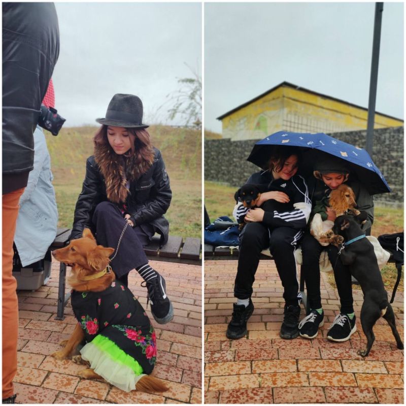 ������ ������ ����������� ������ �������, ����������� � ������, �������, �������� � ���������