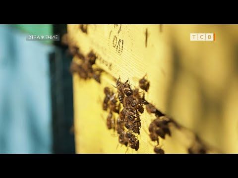 ��-�� ������ ����� ����� ����� �����. ������ ��� ��������. �� ����� �� �� ������ �����, � �������� ����� �� �� �����...