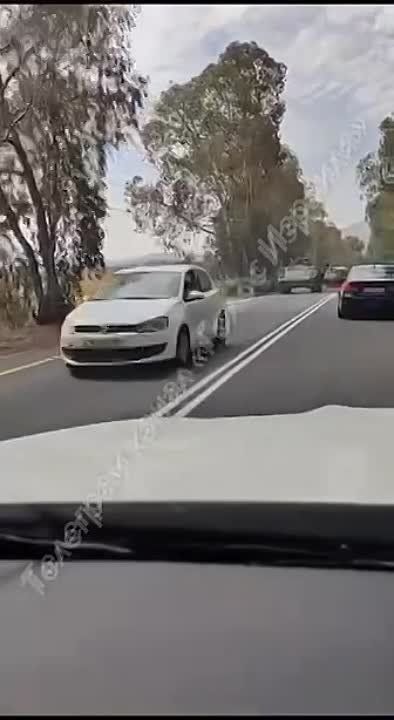 ������ ����. ������ ������� ����� ��������� ����������� ���