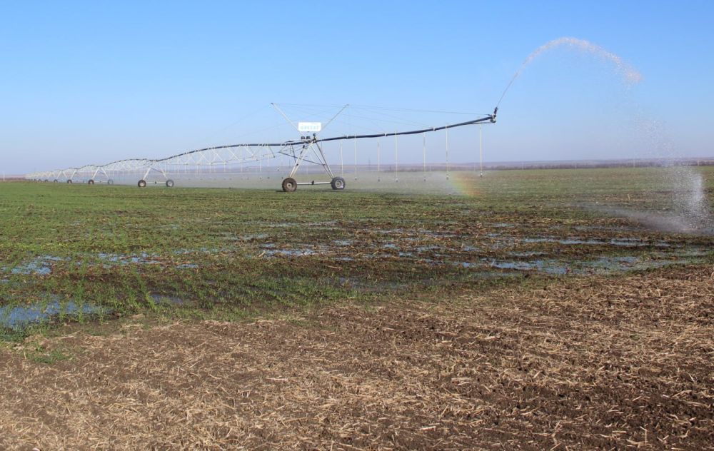 �������� ���������� ���������� ���������� ����������������