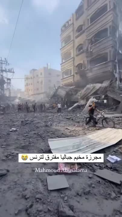 ������ ����. ��������, ��� ����.