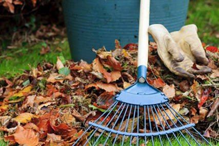 ������������������� ��������� ������� 11 ������