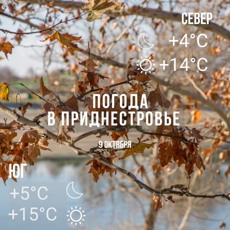 ��������, ��� �����. ��� �������