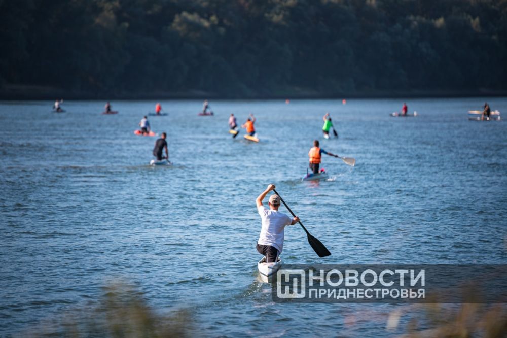 ������� ����� ��������� ��������� ������� � ���������