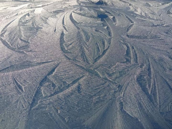 � � ������� ���� �������� ������ ���.