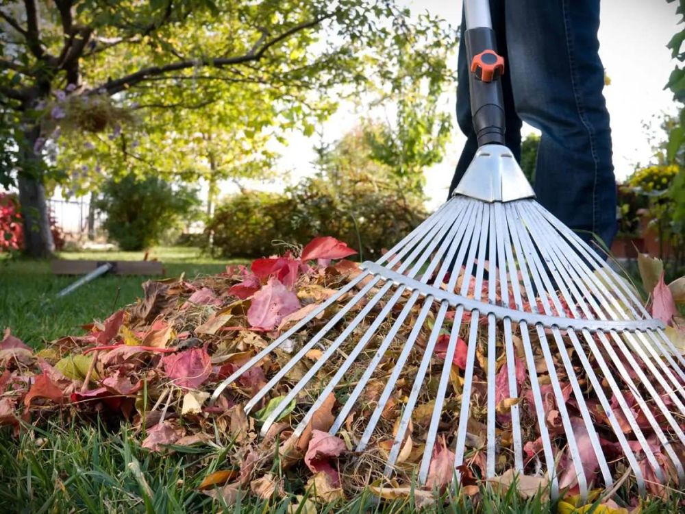 11 ������ ������� ������������������� ���������