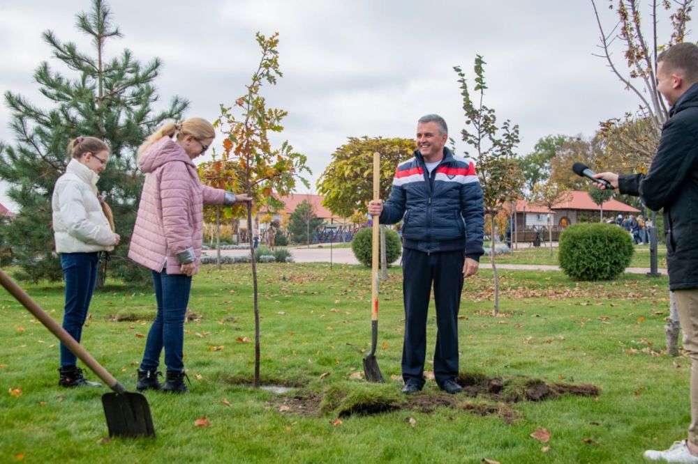 � ������������� 11 ������ �������� ������������������� ���������