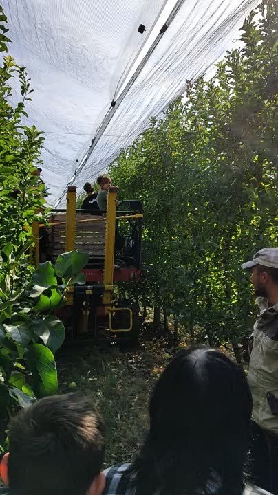 ���������� �������������� ������ ��������, ��� �������� ����������� � ��������� ����