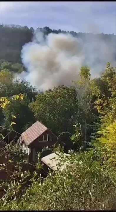 ������ �������� ������� �������� � ���������