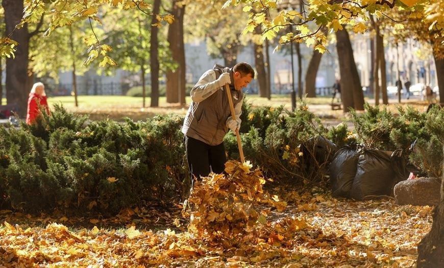 ������ ������ ���������������� ������ � ��� ��������������