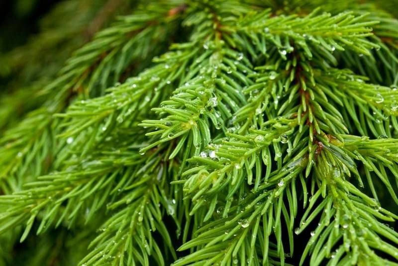 � ���� ���� ��������� ������ ������������� ���������� ���� ��� �������� �������� ��� � ������ ������ �������, �������� �����-������ ����������