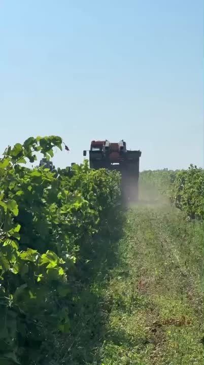 �������������.