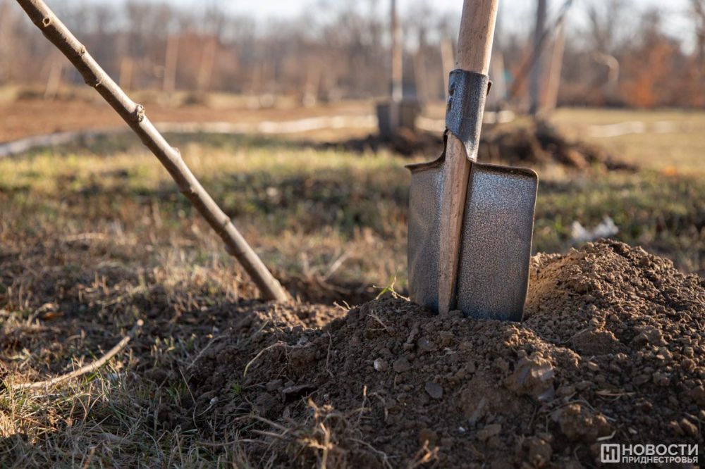 ������������������� ��������� ������� 11 ������