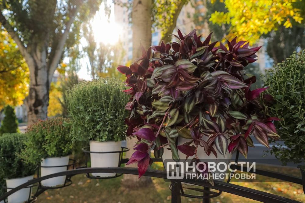 ������ ������ �������� ����� ��������� ������ �������� ������� ���������� � ������������