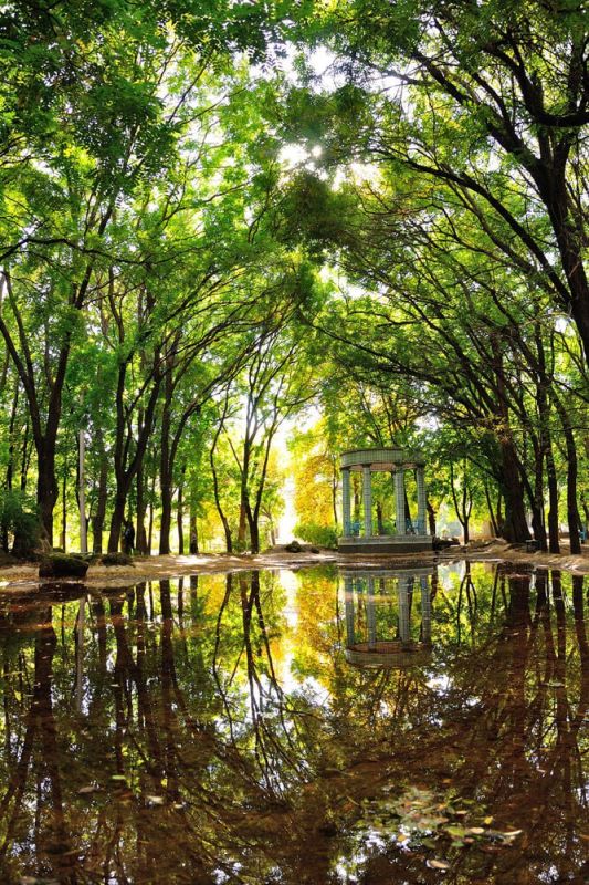 450 ��� ���� ������� ���������� � ��� �������, 14 �������